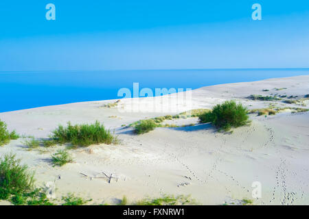 Summer landscape with white sand dunes, bushes and sky. Curonian Spit, Baltic sea. UNESCO World Heritage Site. Stock Photo