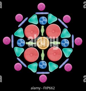 Diatoms and radiolaria. Coloured scanning electron micrograph (SEM) of a circular arrangement of various diatoms and radiolaria. Diatoms are planktonic unicellular algae. They have a mineralised cell wall (frustule) divided into two halves. The frustule contains silica and provides protection and support. Radiolarians are amoeboid protozoa that produce intricate mineral skeletons. They are found as zooplankton throughout the ocean, and their skeletal remains cover large portions of the ocean bottom as radiolarian ooze. Stock Photo