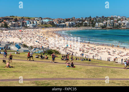 Bondi Beach is crowded with a large number of beachgoers on a hot Saturday afternoon, Sydney Stock Photo