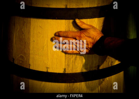 Hand touching wooden cask Stock Photo