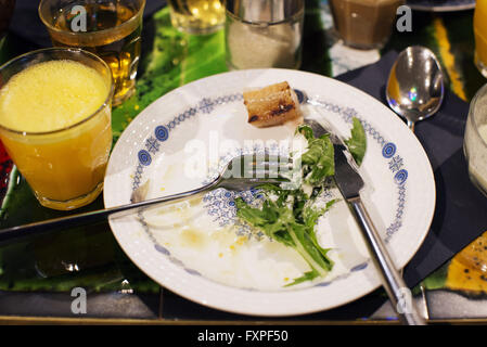Green salad, half eaten Stock Photo