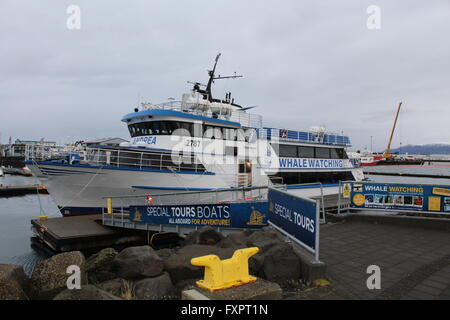 A whale watching boat is docked in Reykjavik Harbour, Iceland Stock Photo