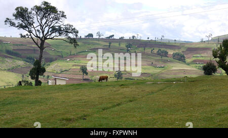 Kapchorwa, Uganda. 16th April, 2016. A picture square view of Teryet village nestled on the slopes of Mount Elgon in Uganda. The virgin area will be home to Uganda's first High Altitude Sports Training Center. The development would save Ugandan athletes from traveling long distances to train in Kenyan highlands. Stock Photo