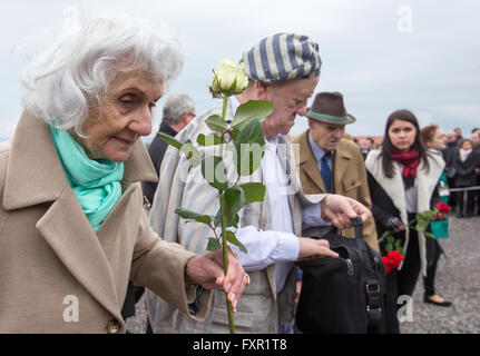 Weimar, Germany. 17th Apr, 2016. Former Buchenwald inmate Eva Fahidi-Pusztai (L-R) from Hungary holds a flower as she stands next to former fellow inmate Alojzy Maciak from Poland at the concentration camp memorial on occasion of the 71th anniversary of its liberation that occured on 11 April 1945, in Weimar, Germany, 17 April 2016. A permanent exhibition which was reopened on the same day spans 2,000 square metres and outlines the history of the concentration camp. Photo: MICHAEL REICHEL/dpa/Alamy Live News Stock Photo