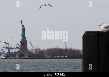 New York, USA. 11th Apr, 2016. A bird flies near the Statue of Liberty.Statue of Liberty in New York City a major tourist landmark in the Big Apple. The Statue of Liberty or Liberty Enlightening the World is a colossal neoclassical sculpture on Liberty Island. The copper statue, designed by FrÅ½dÅ½ric Auguste Bartholdi, a French sculptor, was built by Gustave Eiffel and dedicated on October 28, 1886. It was a gift to the United States from the people of France. © Anna Sergeeva/ZUMA Wire/Alamy Live News Stock Photo