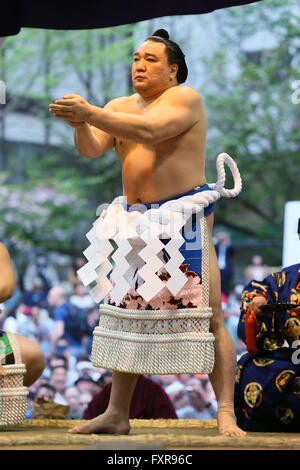 Tokyo Japan. 18th Apr, 2016. Harumafuji, Sumo : Annual sumo tournament dedicated to the Yasukuni Shrine in Tokyo Japan. Credit:  YUTAKA/AFLO SPORT/Alamy Live News Stock Photo