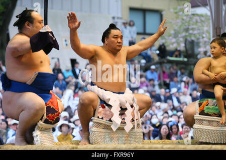 Tokyo Japan. 18th Apr, 2016. Harumafuji, Sumo : Annual sumo tournament dedicated to the Yasukuni Shrine in Tokyo Japan. Credit:  YUTAKA/AFLO SPORT/Alamy Live News Stock Photo