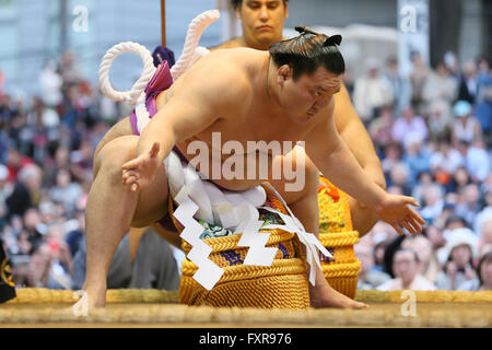 Tokyo Japan. 18th Apr, 2016. Hakuho, Sumo : Annual sumo tournament dedicated to the Yasukuni Shrine in Tokyo Japan. Credit:  YUTAKA/AFLO SPORT/Alamy Live News Stock Photo