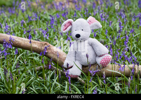 Child's soft toy mouse sitting on a log amongst the bluebells. Stock Photo