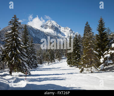 Track through snowy pine forest, Wetterstein Mountains, near Mittenwald, Werdenfelser Land, Upper Bavaria, Bavaria, Germany Stock Photo