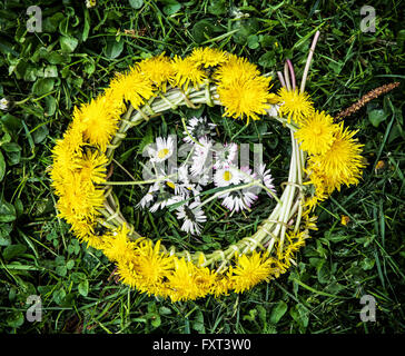 Wreath of dandelions with ox-eye daisies in the green grass. Seasonal natural scene.