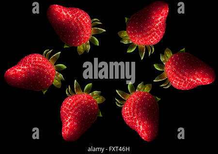 real fresh strawberries isolated on black Stock Photo