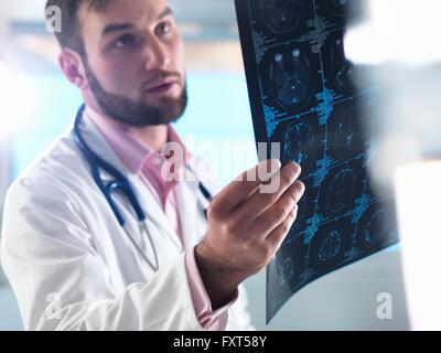 Junior doctor examining a brain scan in hospital Stock Photo