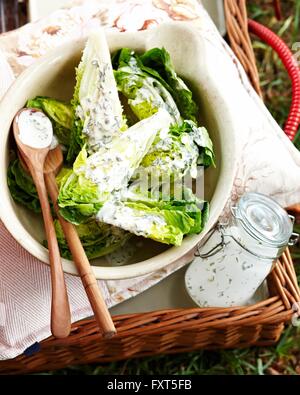 Overhead view of cos lettuce smothered with herb salad dressing in bowl Stock Photo