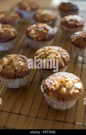 Gluten free muffins on cooling tray Stock Photo