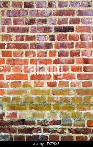 Colourful textured Brick Wall covered in lichen Stock Photo