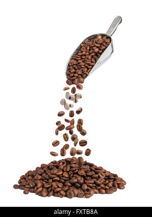 roasted coffee beans falling down from metal scoop isolated on white Stock Photo