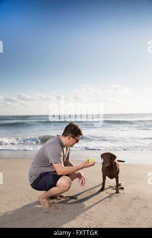 Mid adult man and dog on beach, man holding ball out to dog Stock Photo