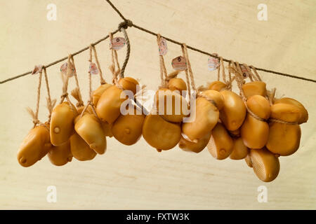 Smoked scamorza cheeses hanging on ropes Stock Photo