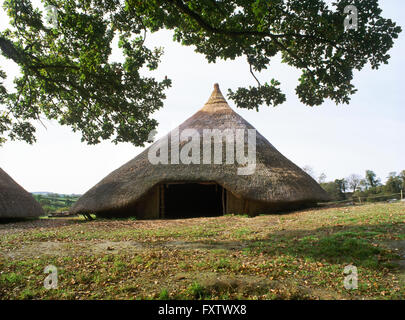 Reconstructed roundhouse 2 at Castell Henllys defended settlement occupied during the Late Bronze Age & Iron Age, Pembrokeshire, South West Wales, UK Stock Photo