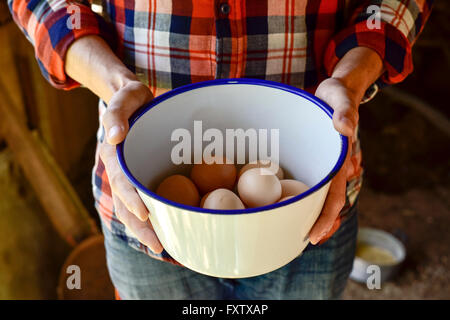 closeup of a young caucasian farmer man wearing a plaid shirt with a white vessel in his hands with some fresh chicken eggs Stock Photo