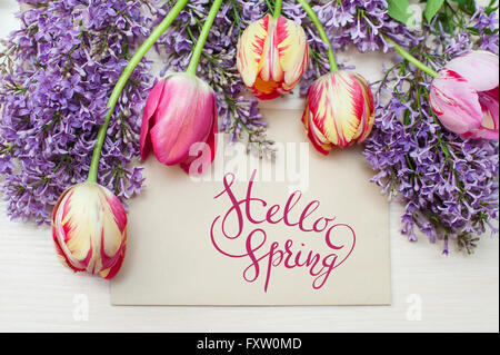 frame from tulips and lilac place for text greeting card with letters Hello sprint Stock Photo