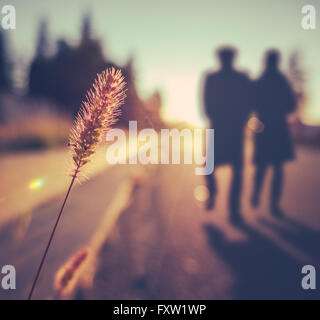 Soft Focus Romantic Senior Couple Walking At Sunset In Summer Stock Photo