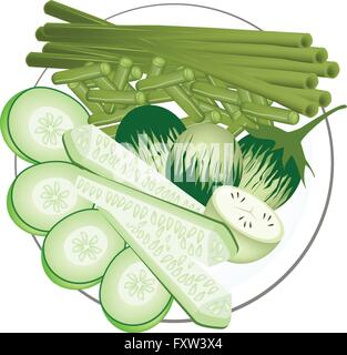 Vegetable, Illustration of Green Eggplants, Cucumbers and Chinese Long Beans Isolated on White Background. Stock Vector