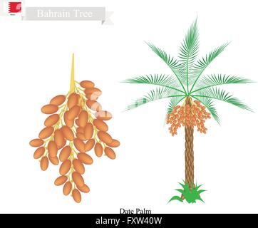 Bahrain Tree, Illustration of Date Palm. The National Tree of Bahrain. Stock Vector
