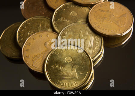 Canadian one dollar coins pictured in Kingston, Ont.,  on Monday Jan. 25, 2016. Stock Photo