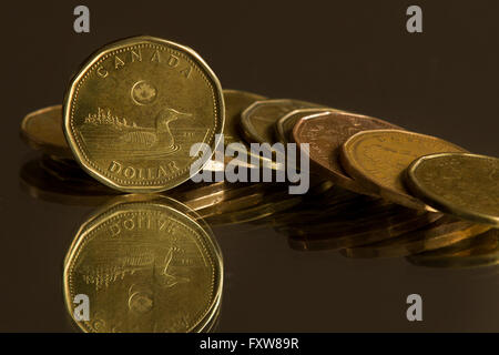 Canadian one dollar coins pictured in Kingston, Ont.,  on Monday Jan. 25, 2016. Stock Photo