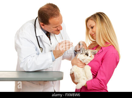 Series with a Cacucasian Veterinarian, and mixed-ethnicity group of assistants and customers.  Holding rabbit, cat and dog.  Iso Stock Photo