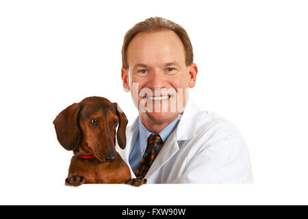 Series with a Cacucasian Veterinarian, and mixed-ethnicity group of assistants and customers.  Holding rabbit, cat and dog.  Iso Stock Photo