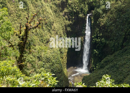 Tropical waterfall in Costa Rica Stock Photo