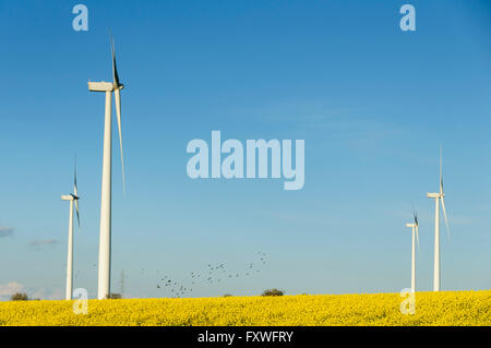 Wind turbines in a field and a  blue sky with some clouds at background, near Barcelona, Spain. Stock Photo