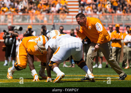 April 16, 2016: Kahlil McKenzie #99 gets ready to battle Venzell Boulware #50 while head coach Butch Jones watches during the University of Tennessee Orange and White intrasquad scrimmage at Neyland Stadium in Knoxville, TN Tim Gangloff/CSM Stock Photo