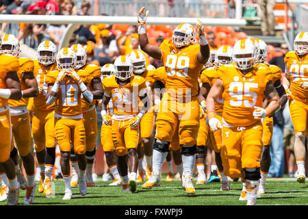 April 16, 2016: Kahlil McKenzie #99 of the Tennessee Volunteers takes the field before the University of Tennessee Orange and White intrasquad scrimmage at Neyland Stadium in Knoxville, TN Tim Gangloff/CSM Stock Photo