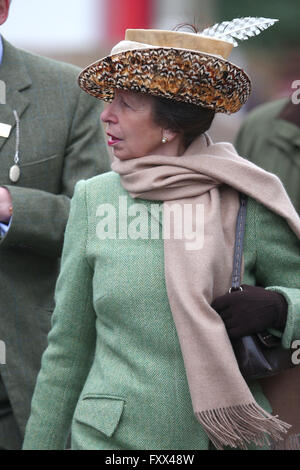 Cheltenham Festival 2016 - Day 1 - Celebrity Sightings and Atmosphere ...