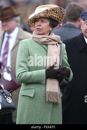 Cheltenham Festival 2016 - Day 1 - Celebrity Sightings and Atmosphere ...