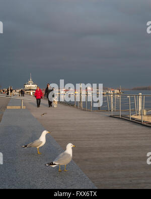 Boardwalk along waterfront of Lake Ontario in Toronto with seagulls and people walking Stock Photo