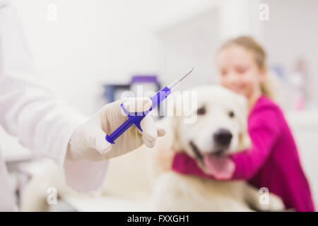 Veterinarian giving injection to dog Stock Photo