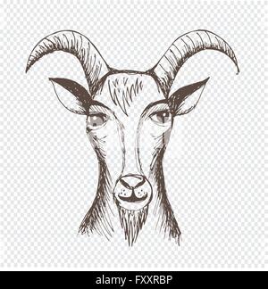 Hand drawn Goat Stock Vector