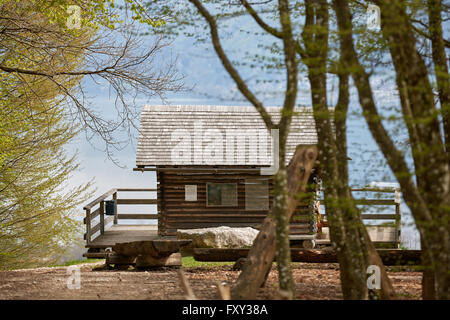 Cabin in the woods on a hill near Nussdorf at lake Attersee Stock Photo