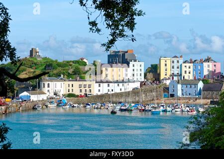 Tenby harbour Pembrokshire west Wales UK Stock Photo