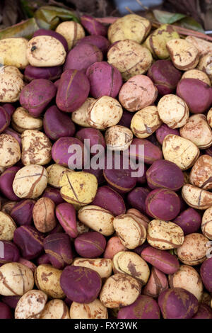 Kola nuts in African market Stock Photo