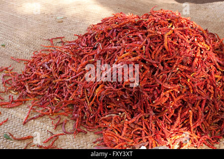 A heap of dried red chili peppers on sale in an African market Stock Photo