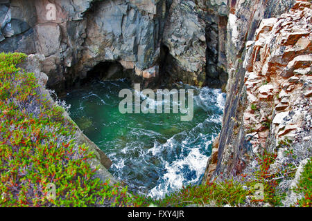 State of Maine, Schoodic Peninsula, Acadia National Park, a Blow Hole, or Thunder Hole where waves crash between granite cliffs Stock Photo