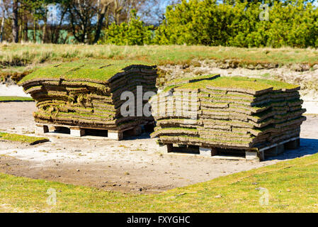 Grass removal from a golf course in spring. Square patches of grass is placed on pallets to be used on other place or storage wh Stock Photo