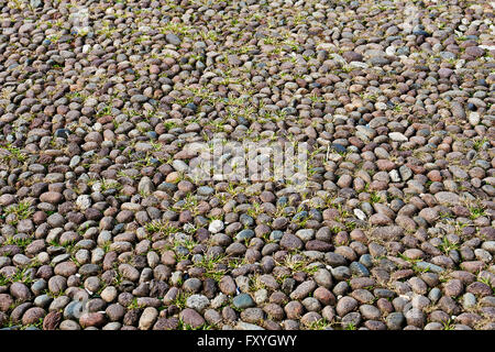 Pebble road Stock Photo