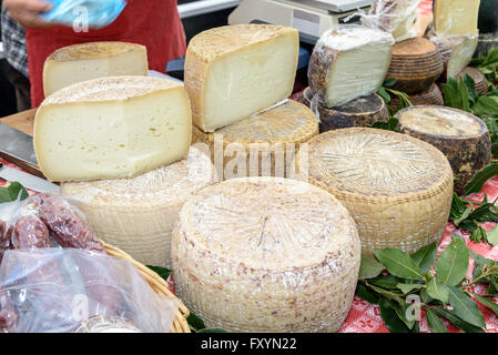 Pecorino cheese typical processing of Sardinia exposed for sale. Stock Photo